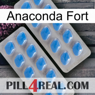 Anaconda Strong 23